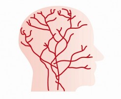 ミノキシジルは血管拡張効果で発毛するわけではない!?