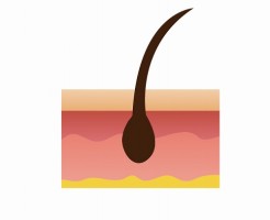 リアップ×5を1日1回で育毛効果はある?