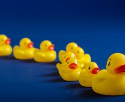 ホットペッパーの掲載順位は人気順ではない?