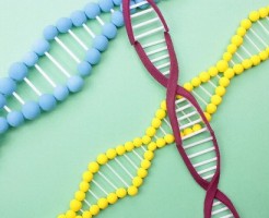 AGA(男性型脱毛症)遺伝子検査キット(AGAドッグ)で薄毛治療