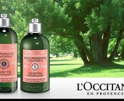 ロクシタンファイブハーブスリペアリングシャンプー